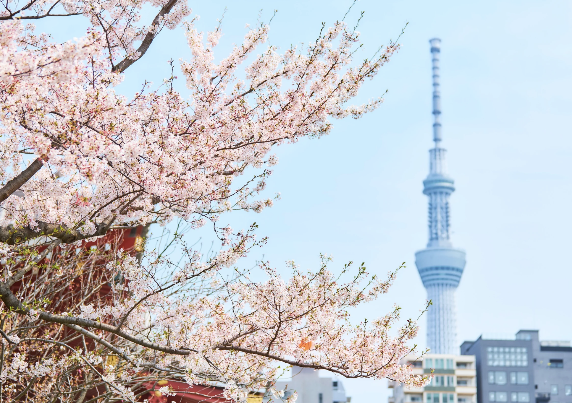 東京の空